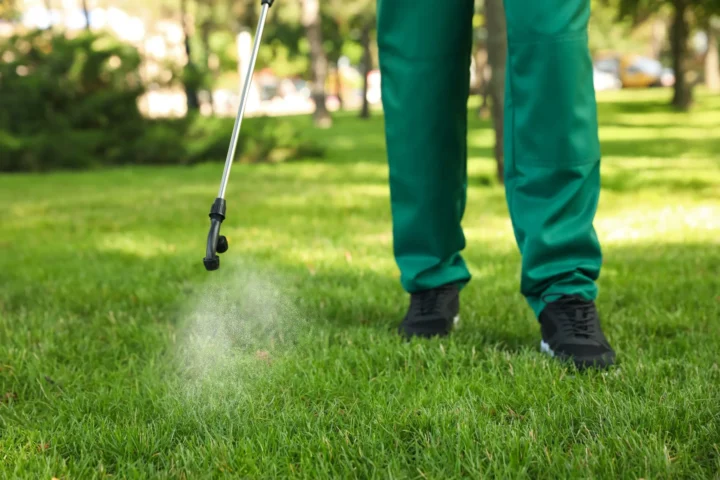 Comparing Liquid Aeration to Traditional Aeration Techniques