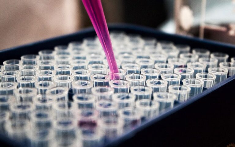 Third-Party Lab Testing Explained - Why Independent Results Matter ...