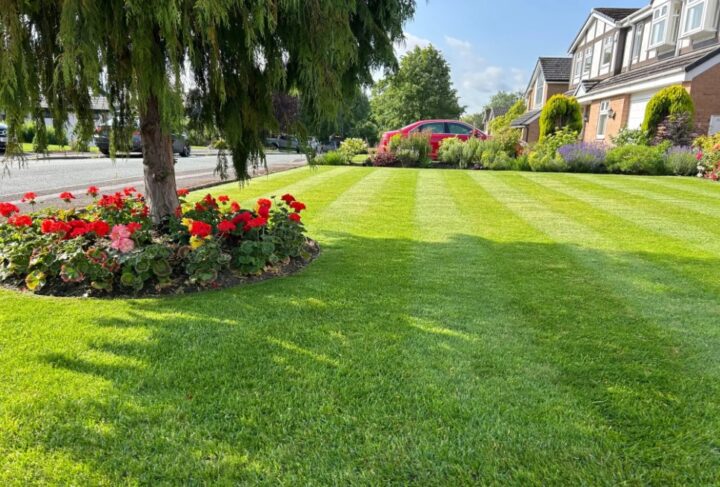 Why Lawn Condition Matters